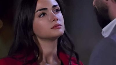 حكايتي بدأت انهارده