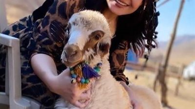 تذكره للصعيد يا حج شاء الله تنستر