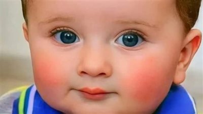 روايه ترويض الأسد 